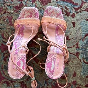 Antonio Milano gladiator